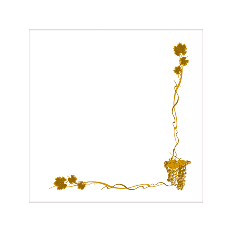 SERVIETTES ECOLABEL 'DOUBLE POINT - BACCHUS' OUATE